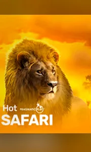 Hot Safari